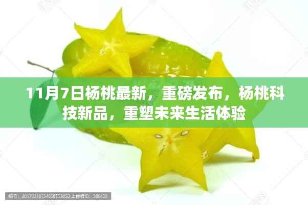 行业新闻 第679页