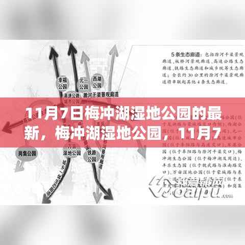 梅冲湖湿地公园,11月7日新篇章开启