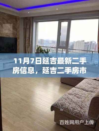 揭秘延吉二手房市场最新动态，最新房源信息与市场动态解析（11月7日）