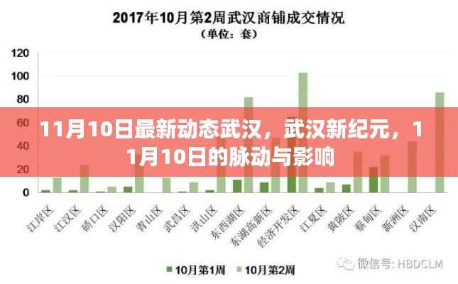 武汉新纪元脉动,11月10日最新动态与影响