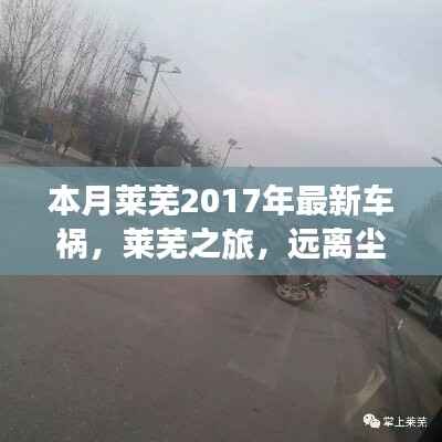 莱芜车祸之外的自然美景探索之旅
