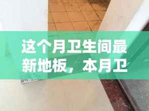 本月卫生间翻新焦点,全新地板的崛起及其影响力