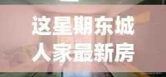 东城人家,最新房价揭秘与温馨故事回顾