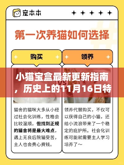 小猫宝盒最新更新指南,历史上的11月16日特别版,适合初学者与进阶用户掌握。