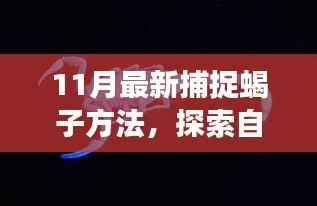 揭秘11月最新捕捉蝎子方法,探索自然秘境,心灵平静之旅开启