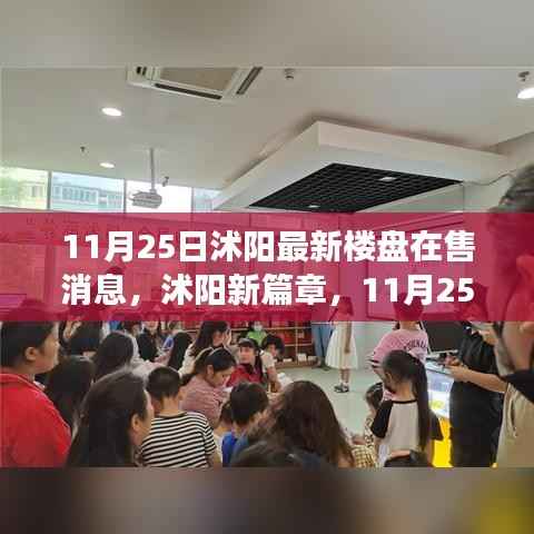 沭阳最新楼盘市场动态,深度观察与最新消息