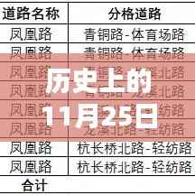 历史上的重要时刻,标准股份在11月25日的最新消息回顾与深度影响分析
