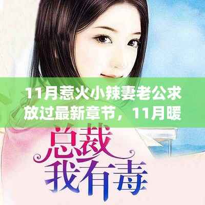 11月辣妻的温情与挚友情深,甜蜜日常与老公的挚恋故事