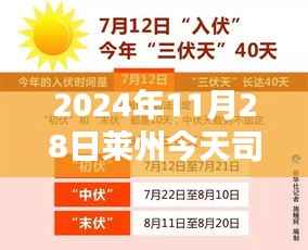 莱州今日热门招聘,司机岗位繁荣及其影响