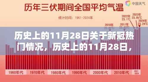 深度解析,历史上的11月28日新冠热门情况回顾与观点阐述