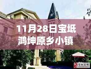 揭秘宝坻鸿坤原乡小镇房价走势,市场分析、最新动态与未来预测