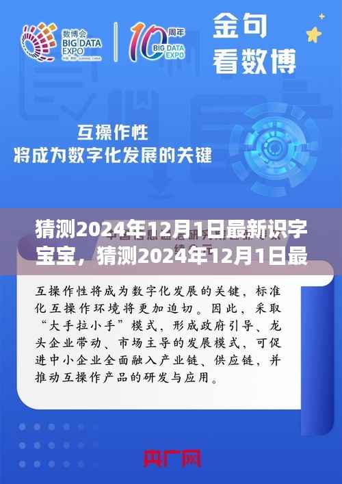 关于未来宝宝教育的探索之旅,最新识字宝宝预测(2024年12月1日)