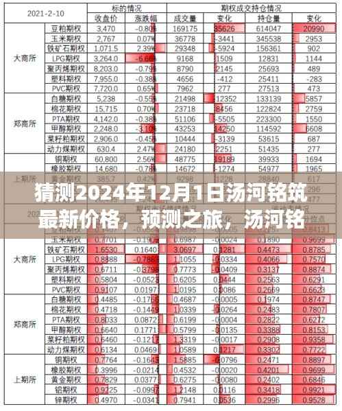 汤河铭筑2024年12月最新价格预测,展望未来的房价之旅
