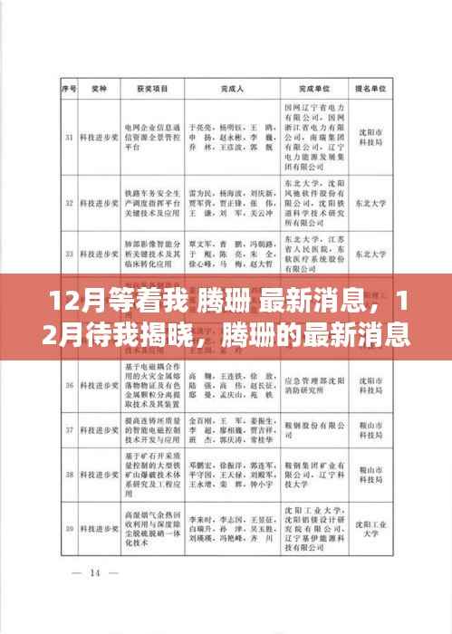 腾珊最新消息揭秘,热议与观点碰撞,12月揭晓悬念