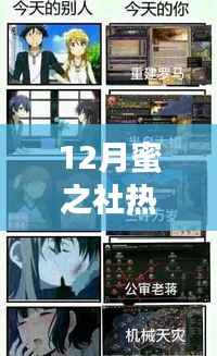 12月蜜之社热门版,潮流回响与影响力探析