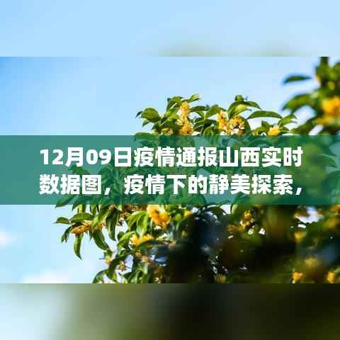 山西疫情实时数据图下的静美探索,自然之旅与心灵平静之旅