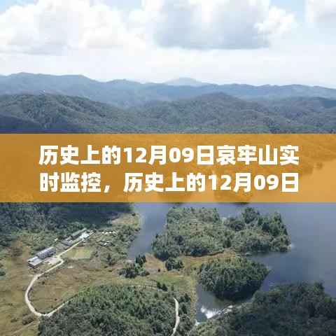 惊弦之鸟 第4页