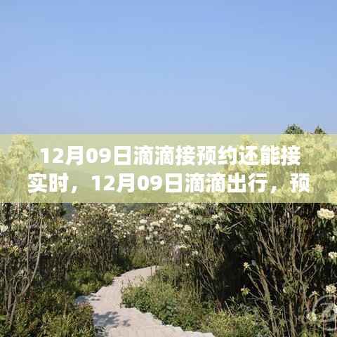 滴滴出行预约与实时体验,宁静之旅探秘