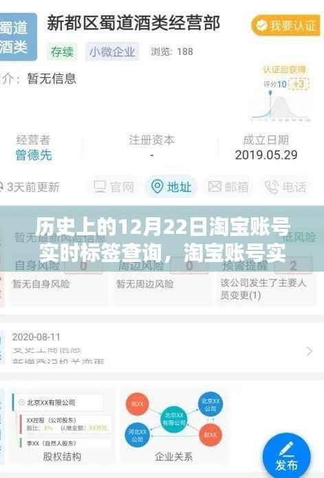 淘宝账号实时标签查询系统的历史沿革与影响回顾，12月22日回顾篇