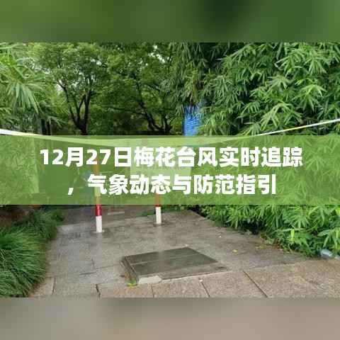 梅花台风实时追踪，气象动态及防范指引