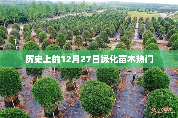 历史上的绿化苗木热门,聚焦12月27日