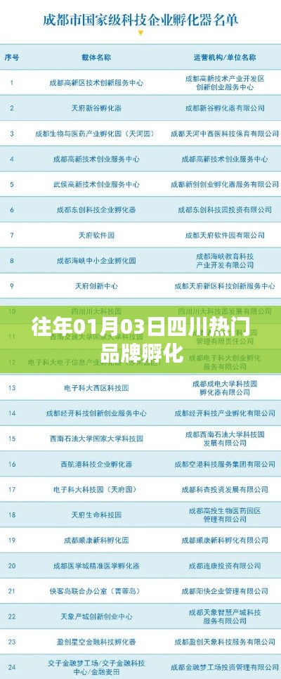 四川品牌孵化盛况,历年1月3日热点聚焦
