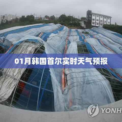 首尔实时天气预报(最新更新)