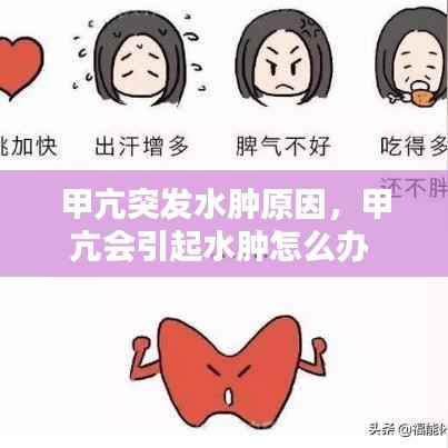 鸿飞雪爪 第2页