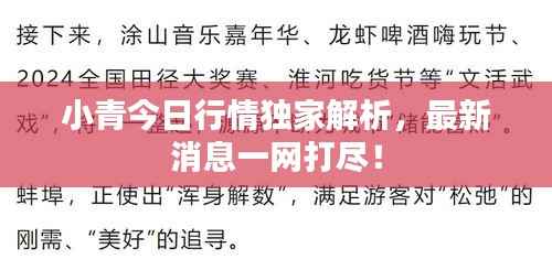 小青今日行情独家解析,最新消息一网打尽!