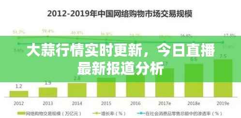 大蒜行情实时更新,今日直播最新报道分析