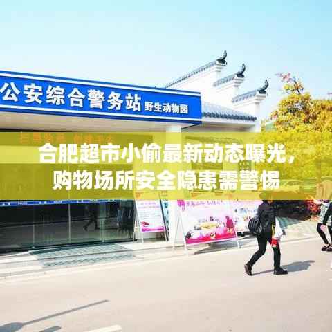 合肥超市小偷最新动态曝光,购物场所安全隐患需警惕