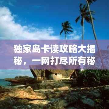 独家岛卡读攻略大揭秘,一网打尽所有秘密!