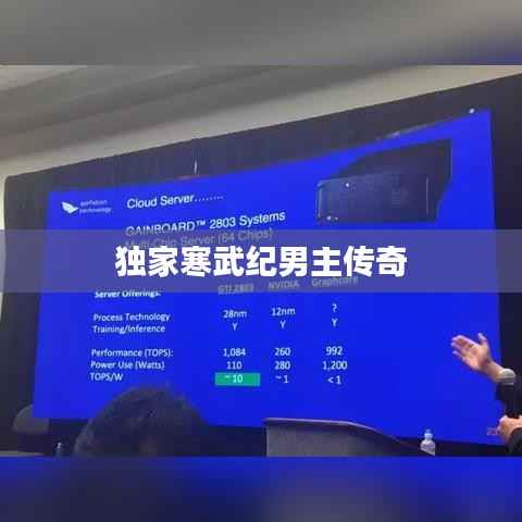 独家寒武纪男主传奇