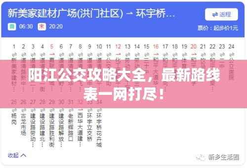 阳江公交攻略大全，最新路线表一网打尽！