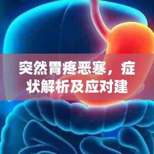 突然胃疼恶寒，症状解析及应对建议