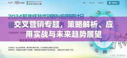 交叉营销专题，策略解析、应用实战与未来趋势展望