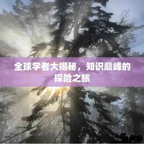 全球学者大揭秘，知识巅峰的探险之旅