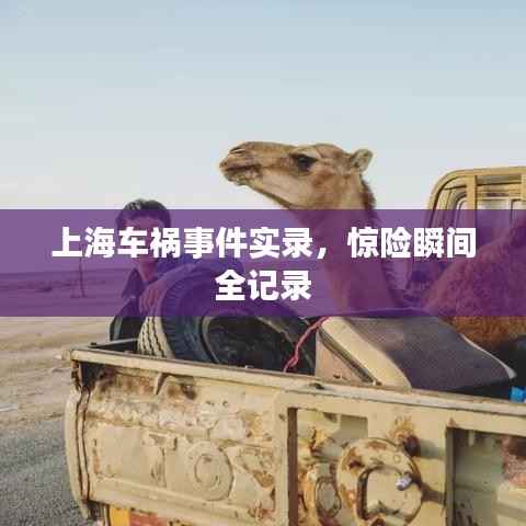 上海车祸事件实录，惊险瞬间全记录